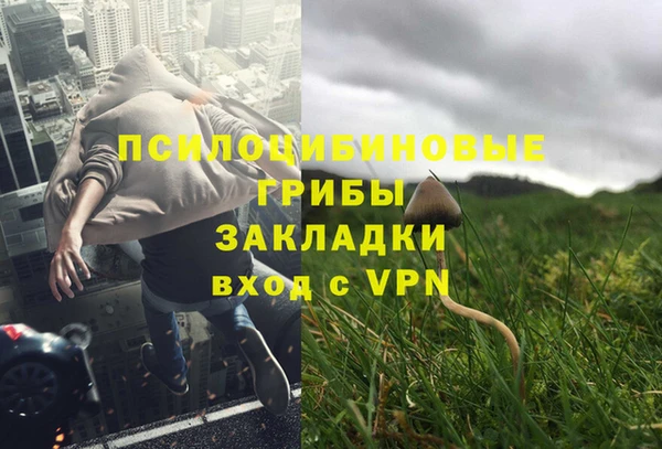 mdpv Алексин