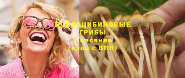 спиды Армянск